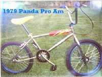 1979 Panda Pro Am 